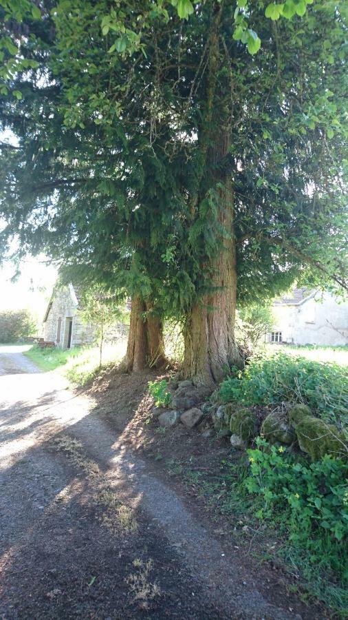 فيلا Ferme De La Grange Du Bas Saint-Bresson المظهر الخارجي الصورة